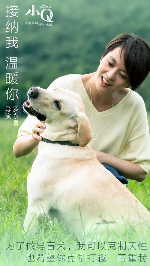 蒙大拿大学Marketing Degree Certificate